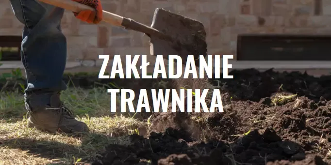 Zakładanie trawnika. Poradnik krok po kroku